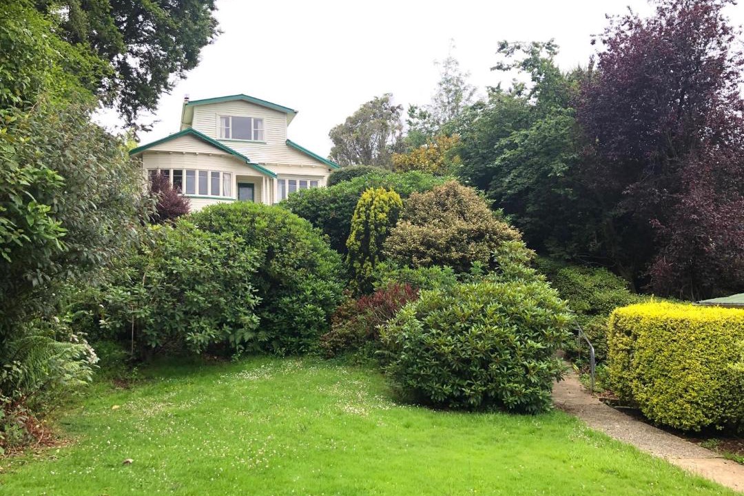 Photo of Buildings in Dunedin