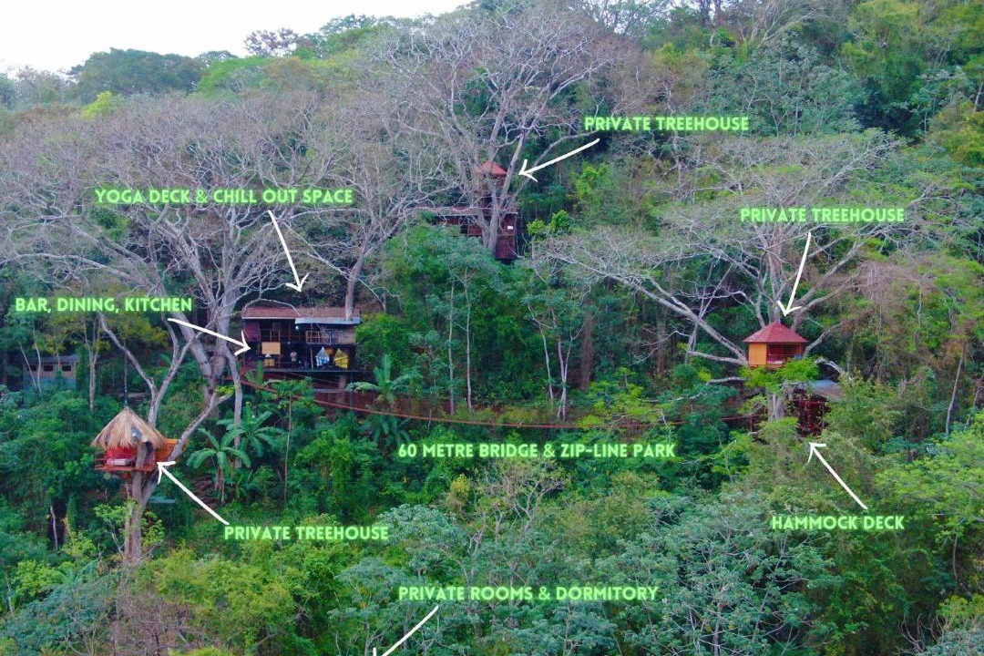 Photo of Others in Mombacho Volcano Nature Reserve