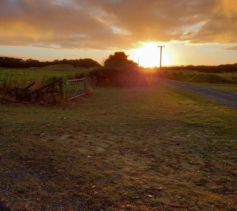 Photo of Outdoor in Pukenui