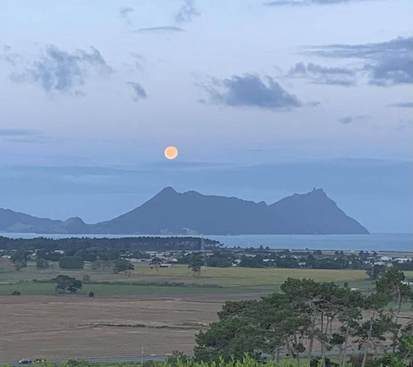 Photo of Outdoor in Ruakaka