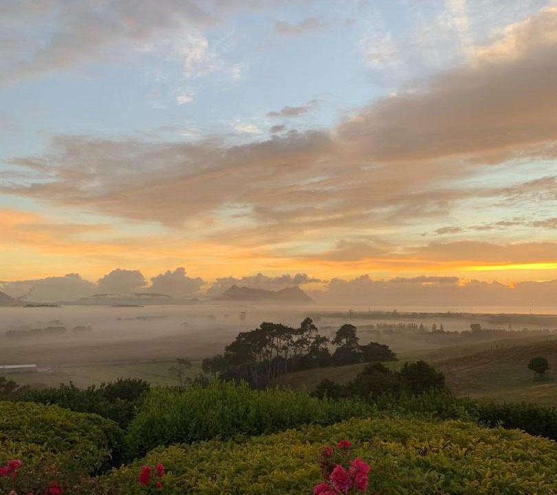 Photo of Outdoor in Ruakaka