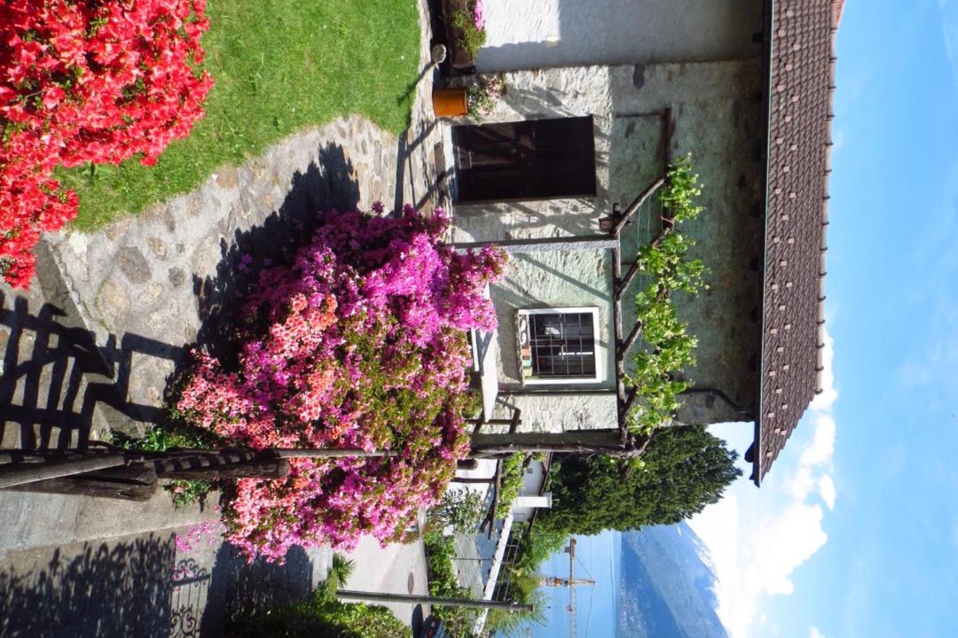 Photo of Buildings in Brissago