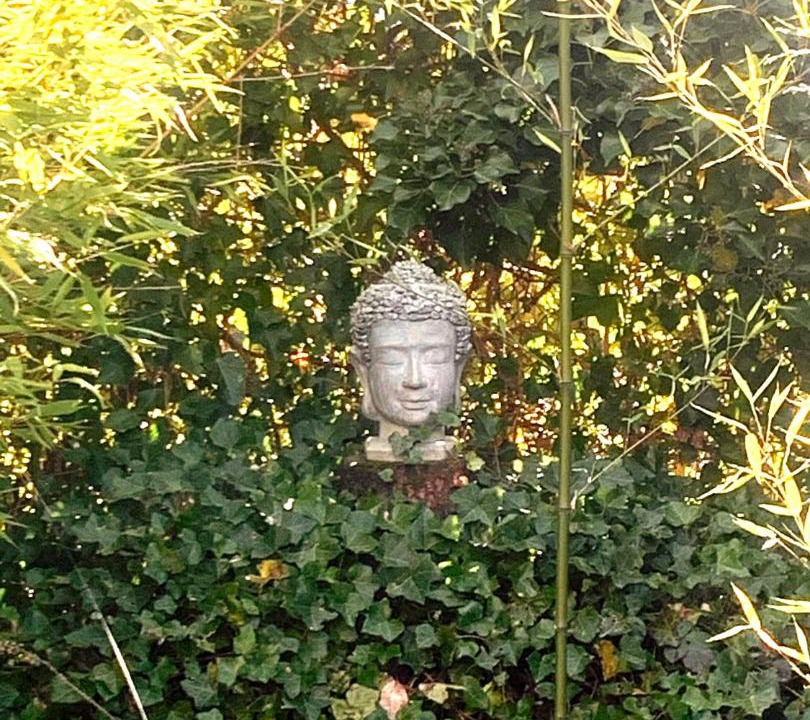 Photo of Others in Watermael-Boitsfort