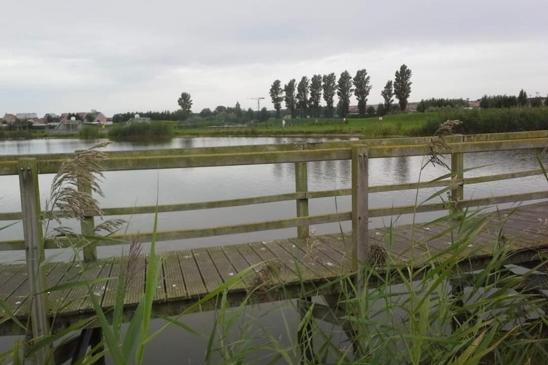 Photo of Others in Bredene