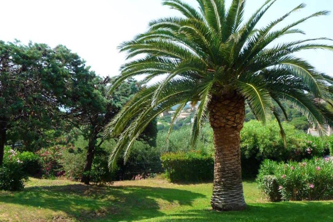 Photo of Outdoor in La Nartelle