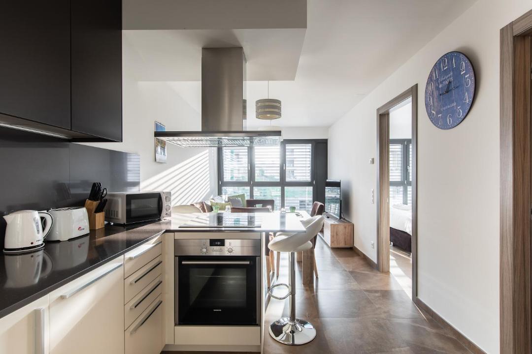 Photo of Kitchen in Massagno