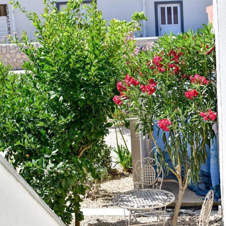 Photo of Buildings in Nin