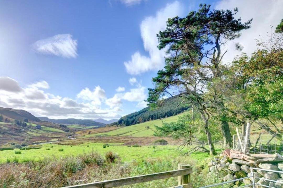 Photo of Others in Dolgellau
