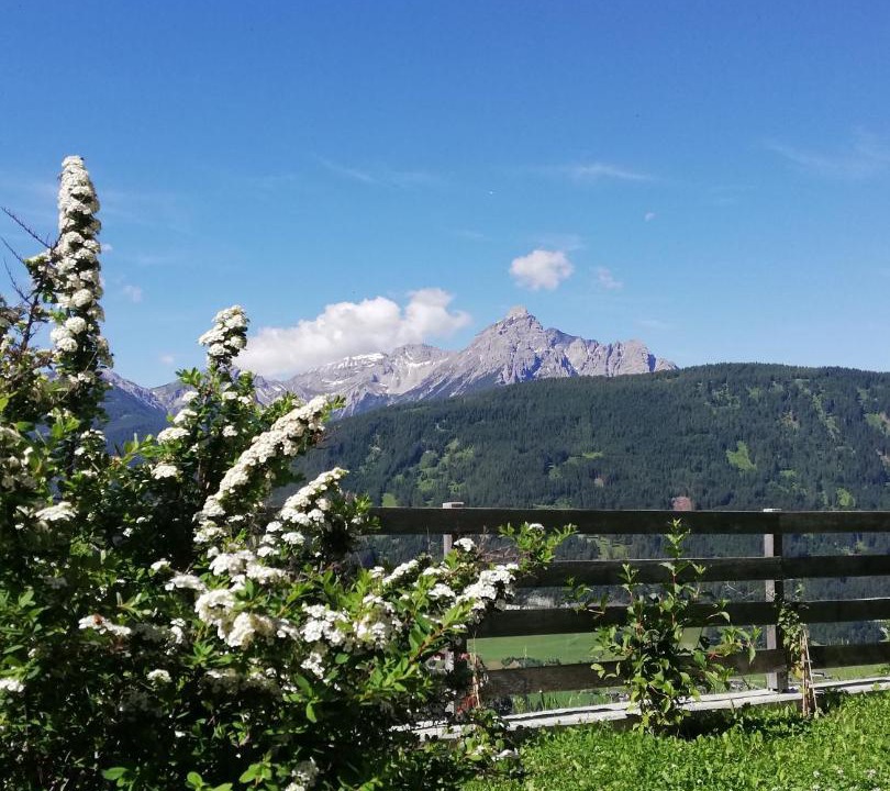 Photo of Outdoor in Ellboegen
