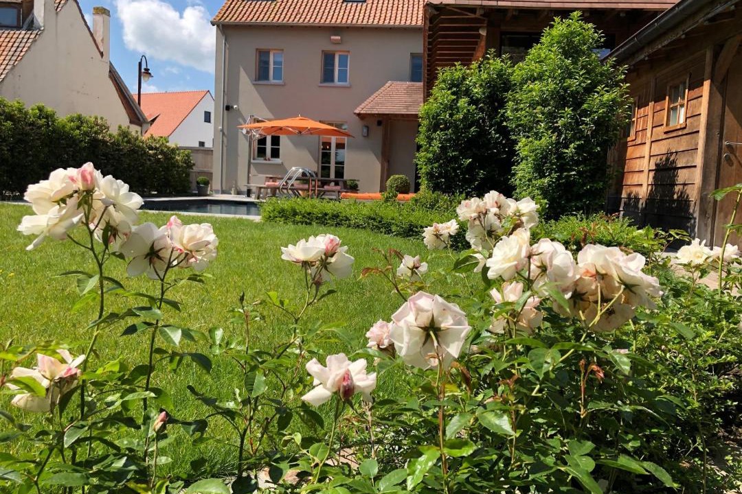 Photo of Others in Klemskerke