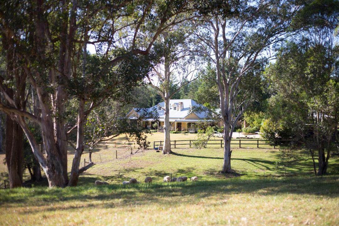 Photo of Others in Kurrajong