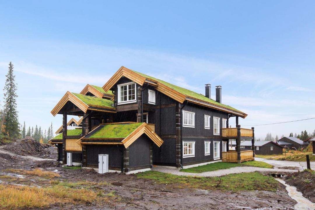 Photo of Buildings in Vikberget