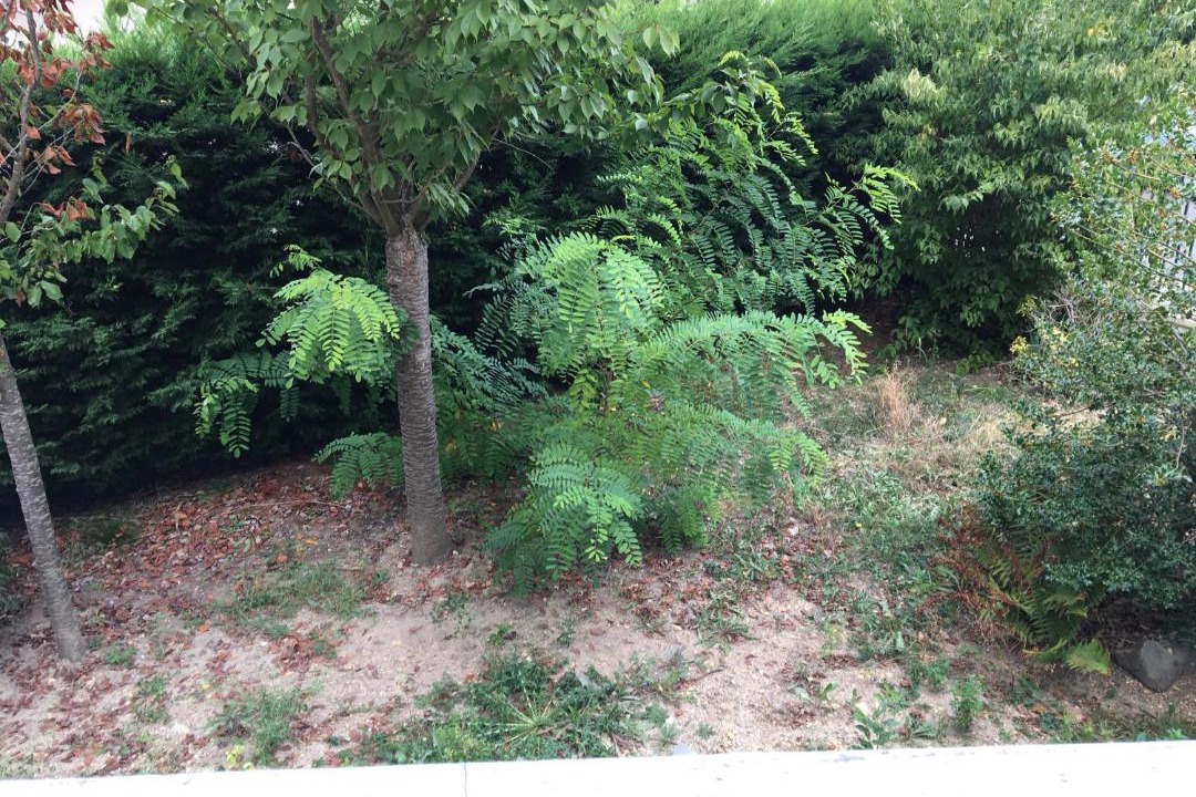 Photo of Outdoor in Sainte-Genevieve-des-Bois
