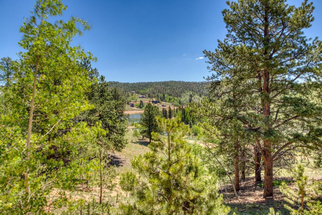 Photo of Outdoor in Spring Valley