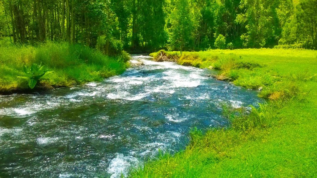Photo of Outdoor in Kiamuturi