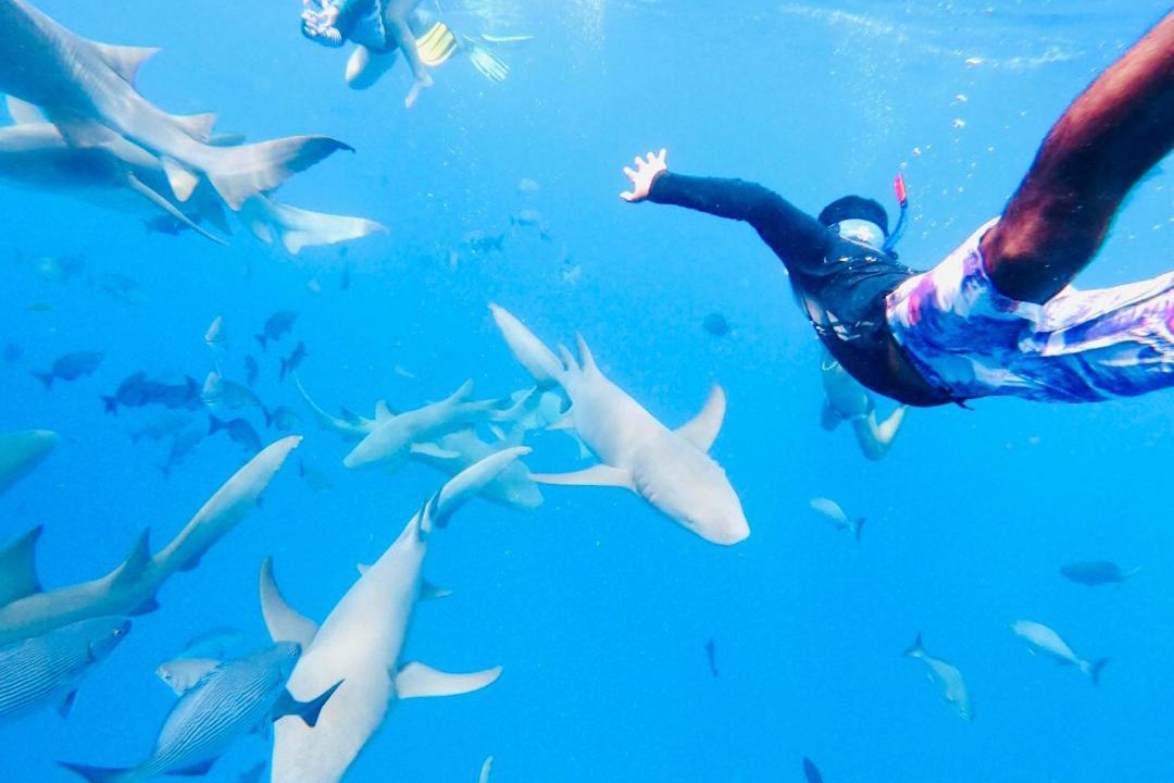 Photo of Others in Maafushi