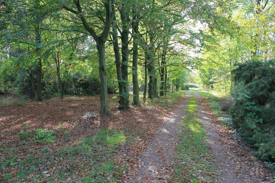 Photo of Others in Spalbeek