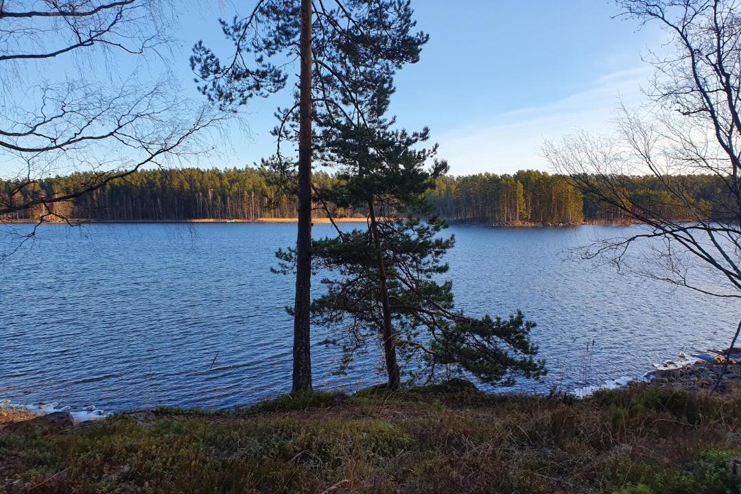 Photo of Outdoor in Punkaharju