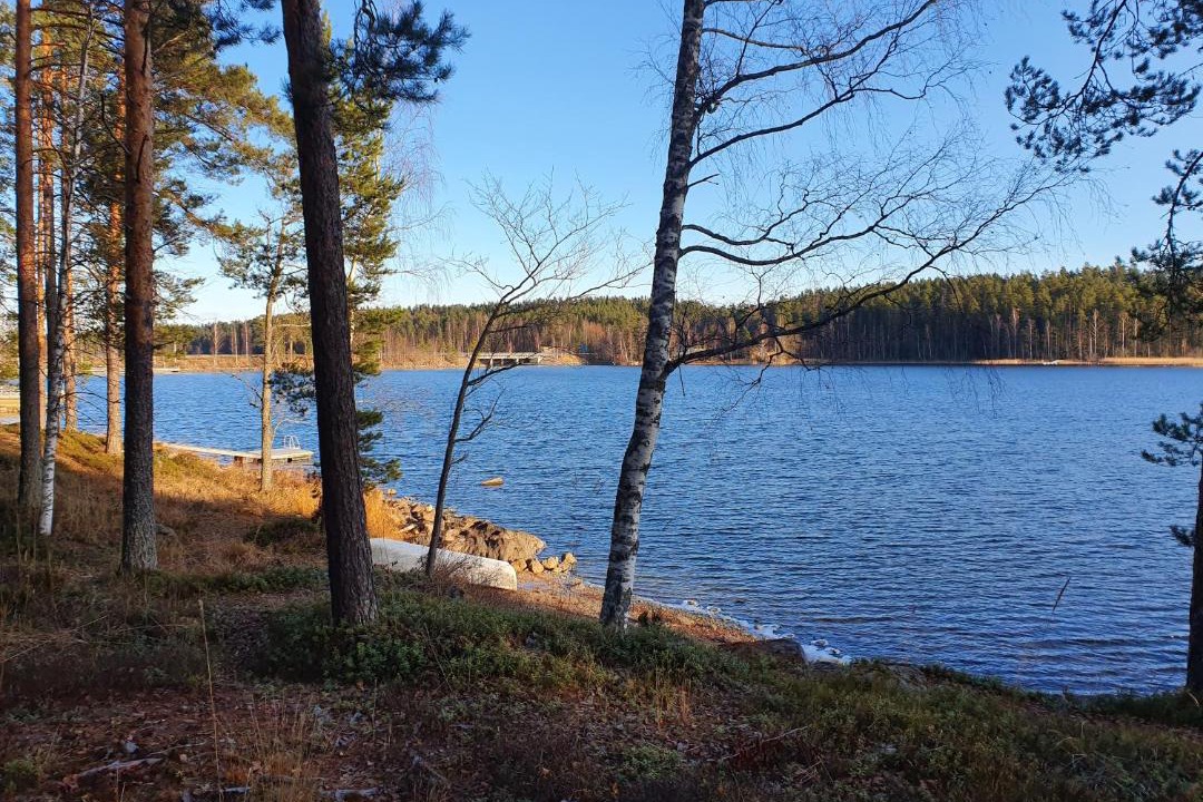 Photo of Outdoor in Punkaharju