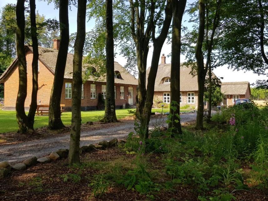 Photo of Others in Holstebro