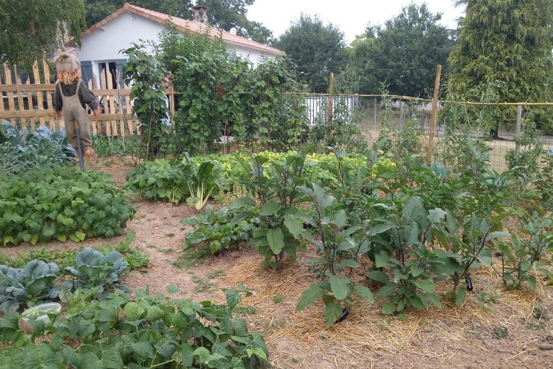 Photo of Others in Breuil-Barret