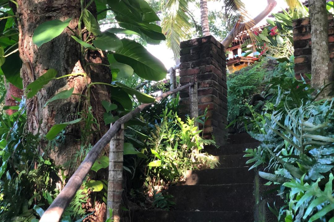 Photo of Others in Sayulita