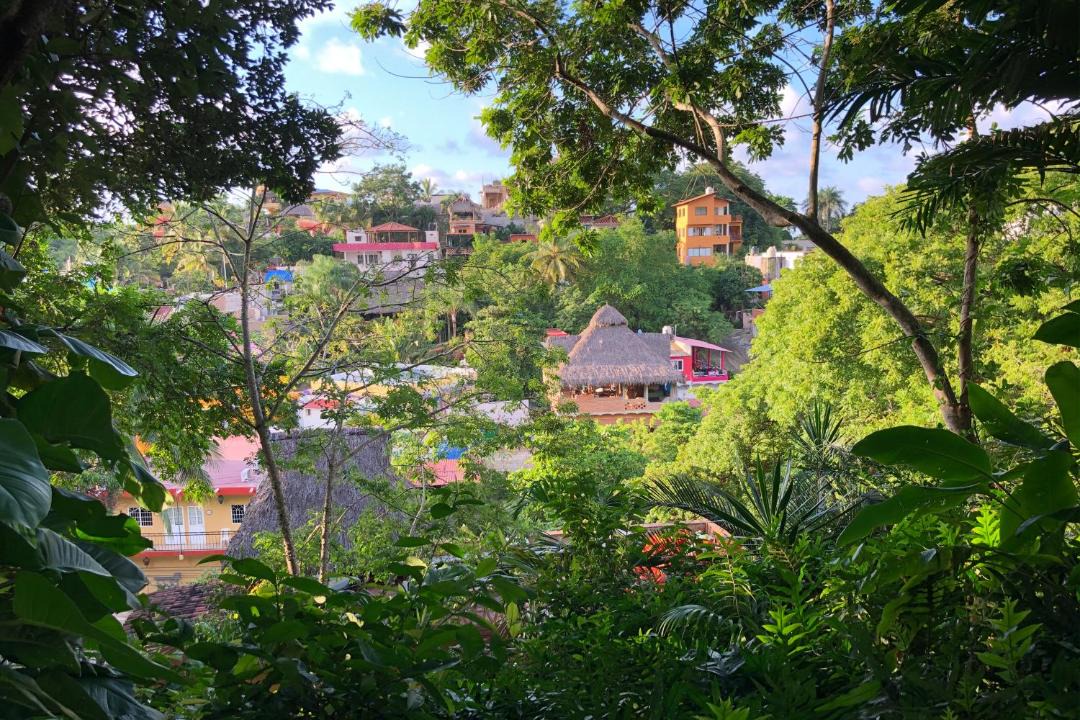 Photo of Others in Sayulita