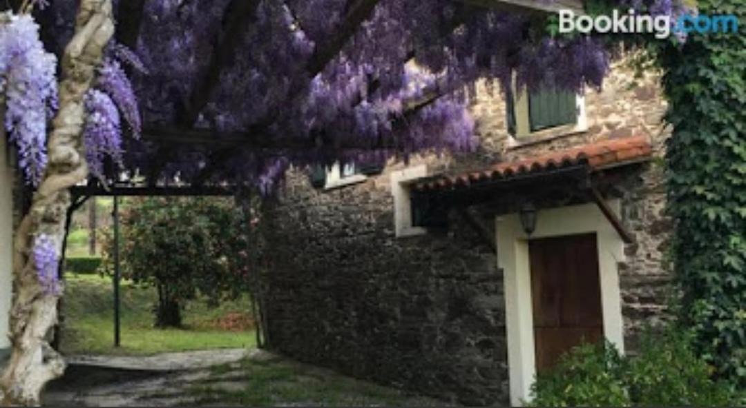 Photo of Buildings in Oza-Cesuras