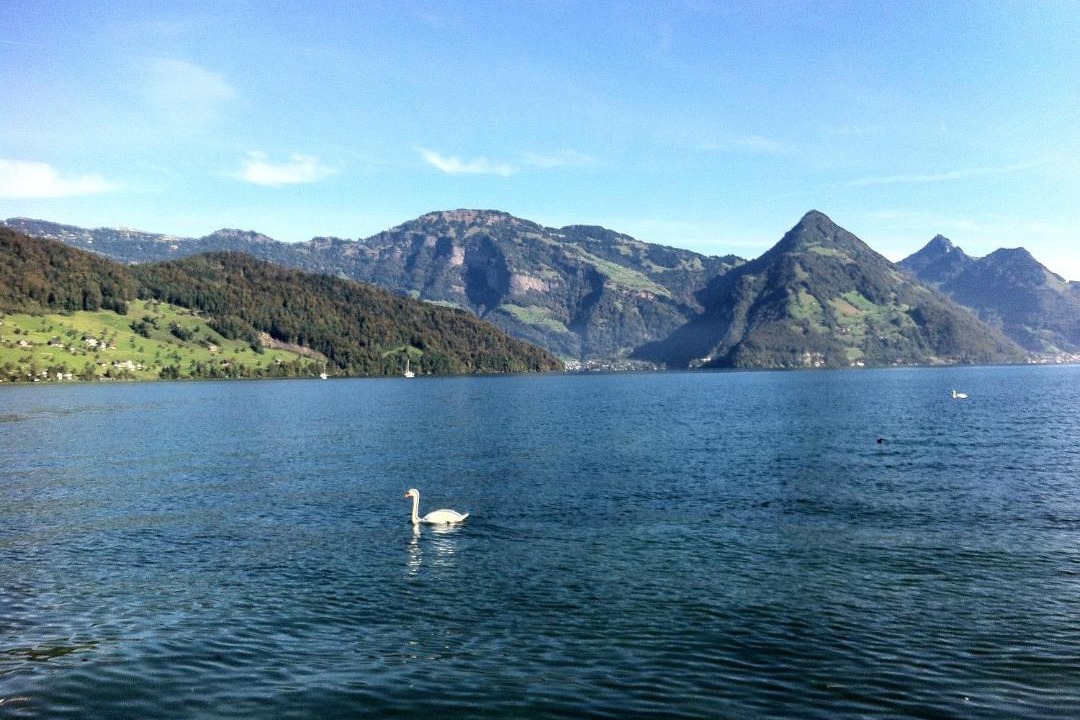 Photo of Others in Buochs