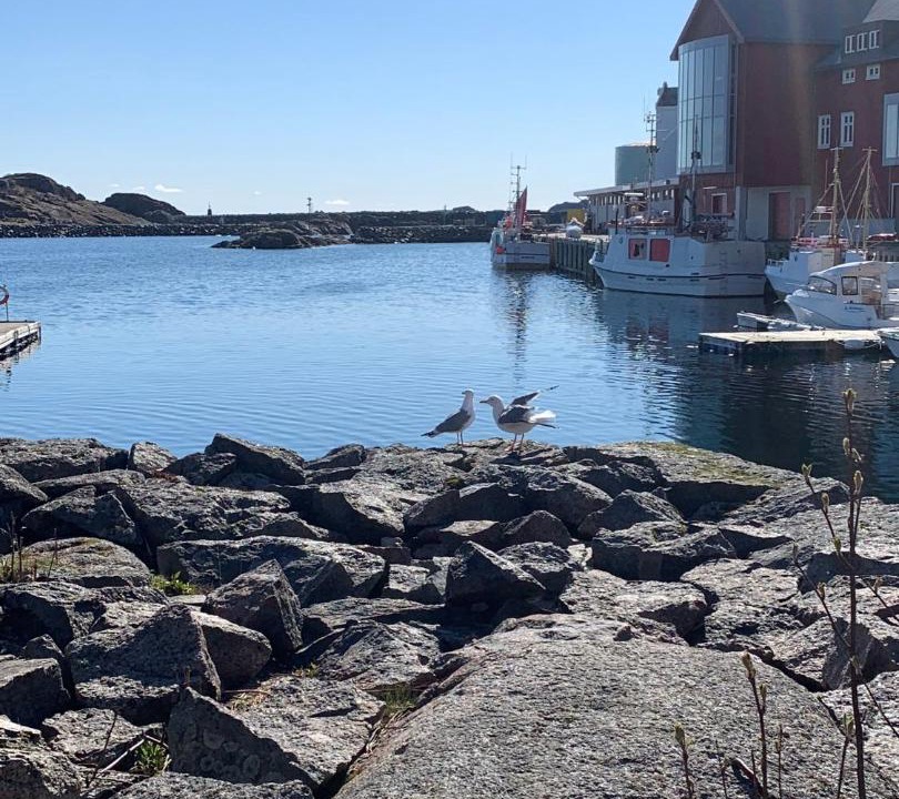 Photo of Others in Vestvagøy