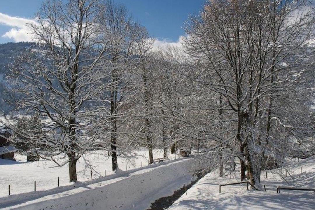 Photo of Others in Lenk