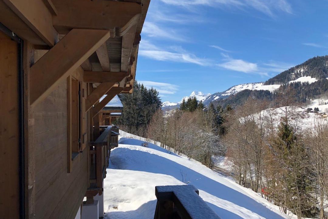 Photo of Others in Megeve
