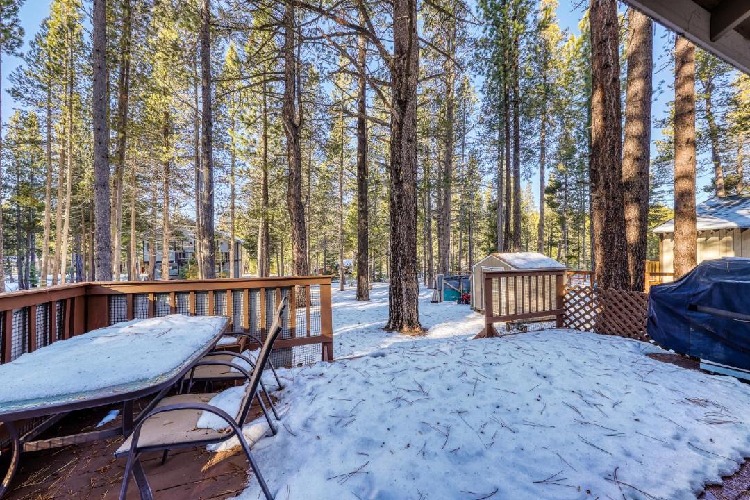 Photo of Others in Tahoe Paradise
