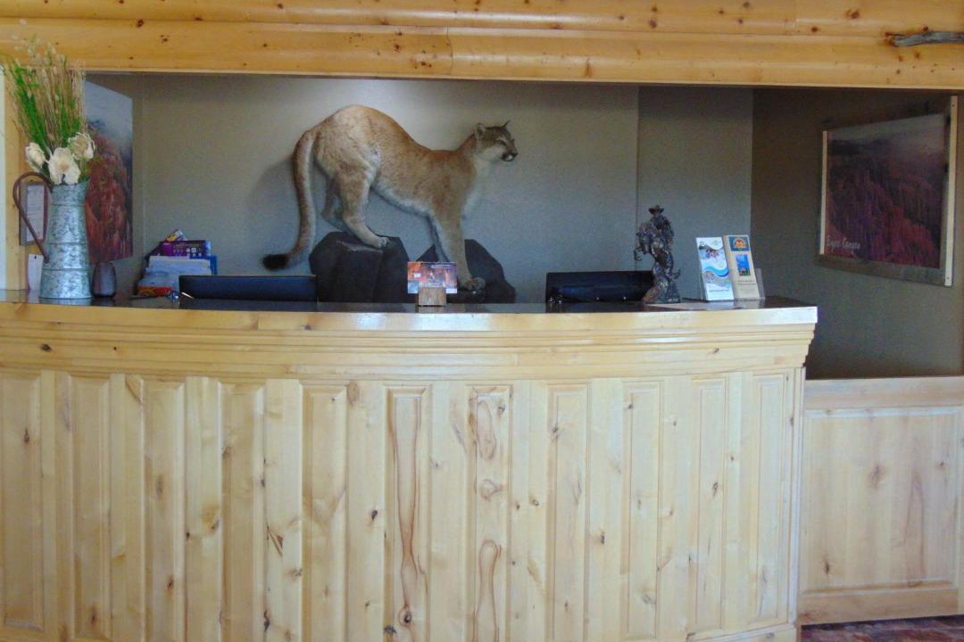 Photo of Others in Bryce Canyon