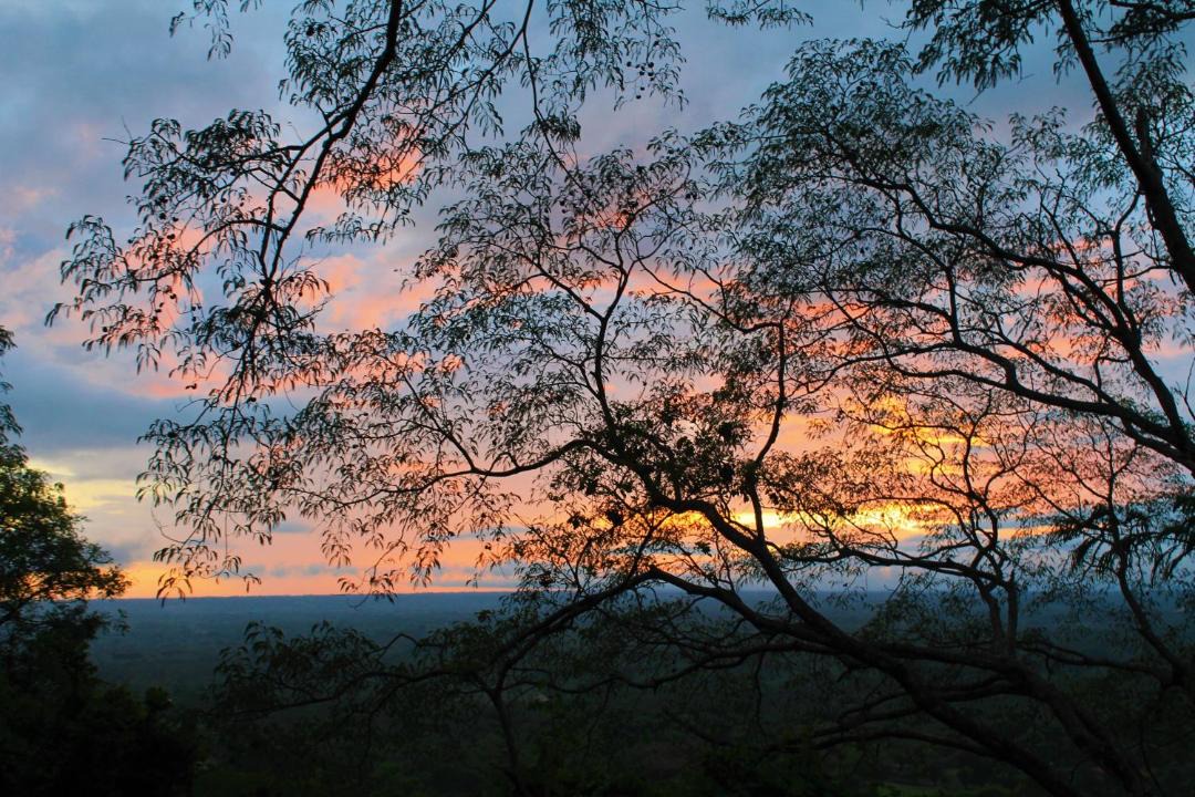 Photo of Others in Mombacho Volcano Nature Reserve