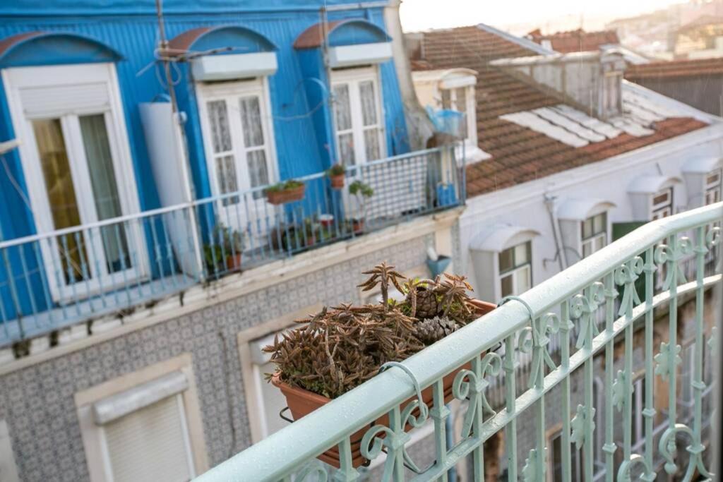 Photo of Buildings in Mouraria