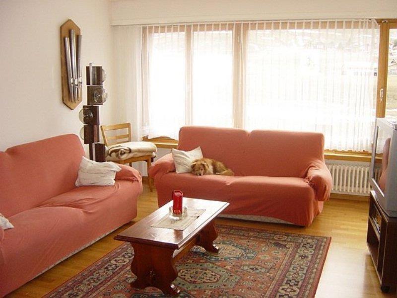 Photo of Livingroom in Savognin