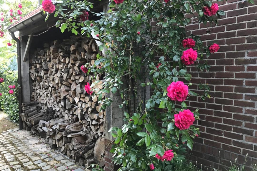 Photo of Outdoor in Bree