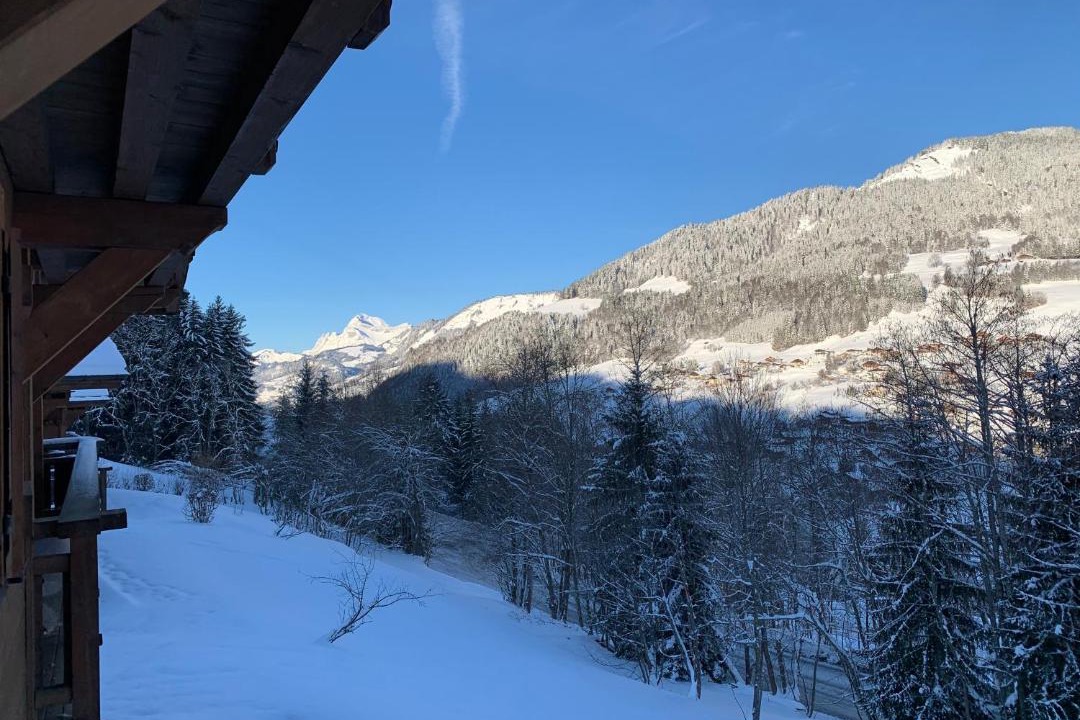 Photo of Others in Megeve