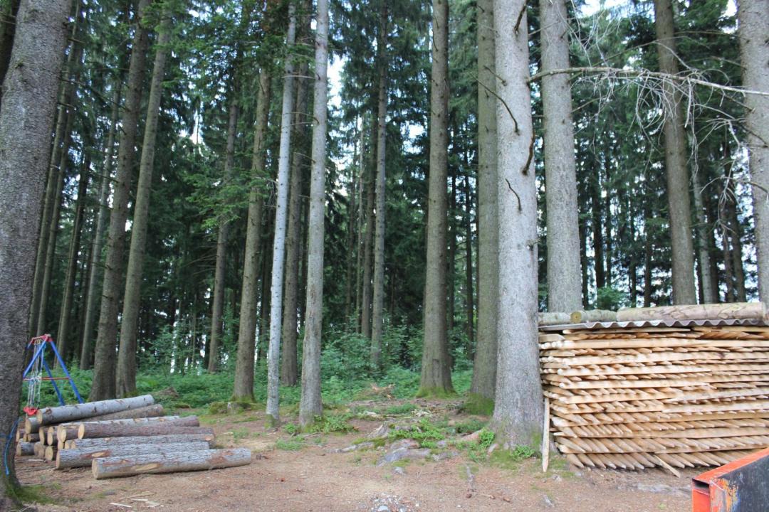 Photo of Others in Gebertingen