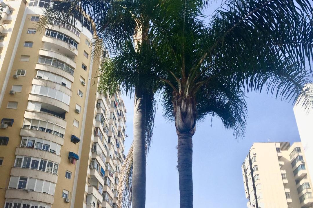 Photo of Others in Torremolinos City Centre