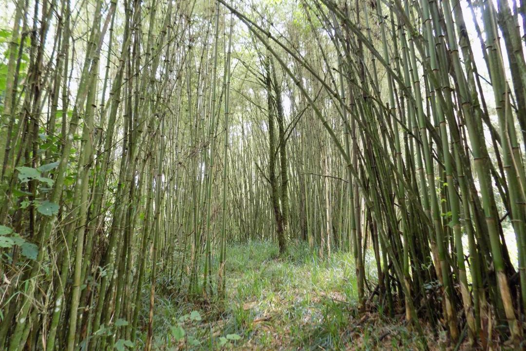 Photo of Outdoor in Kiamuturi