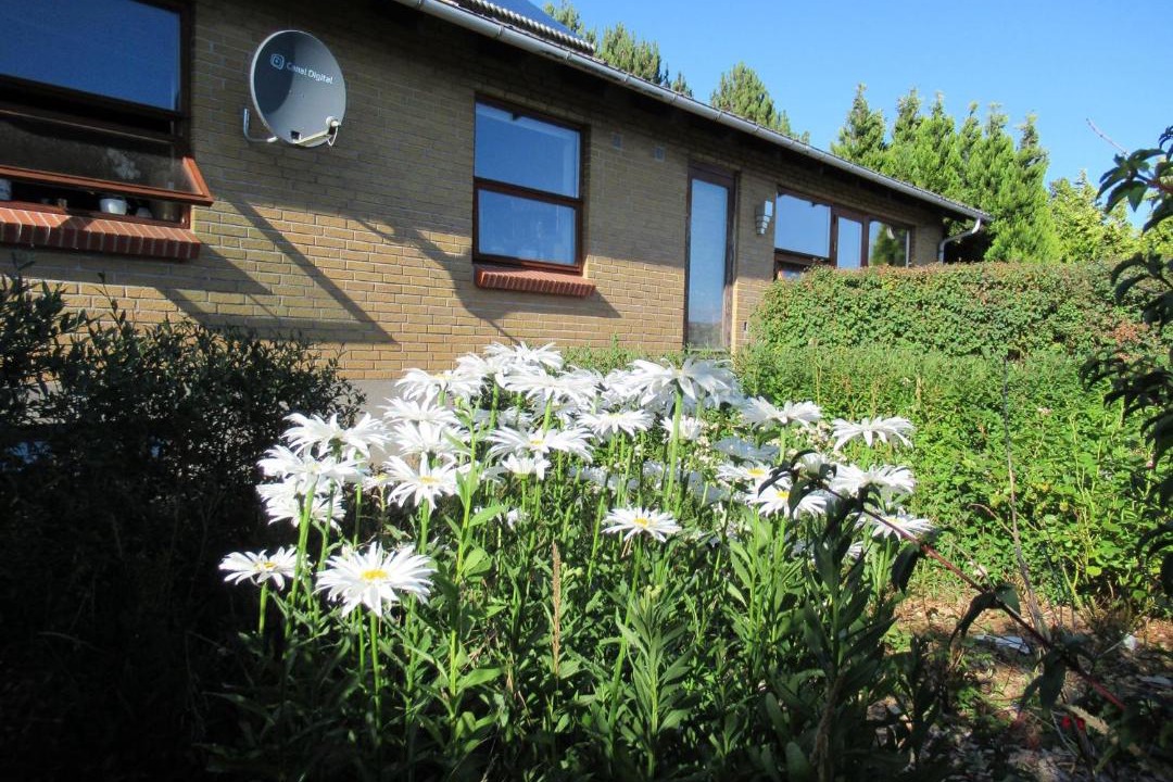 Photo of Buildings in Nordfyns Kommune