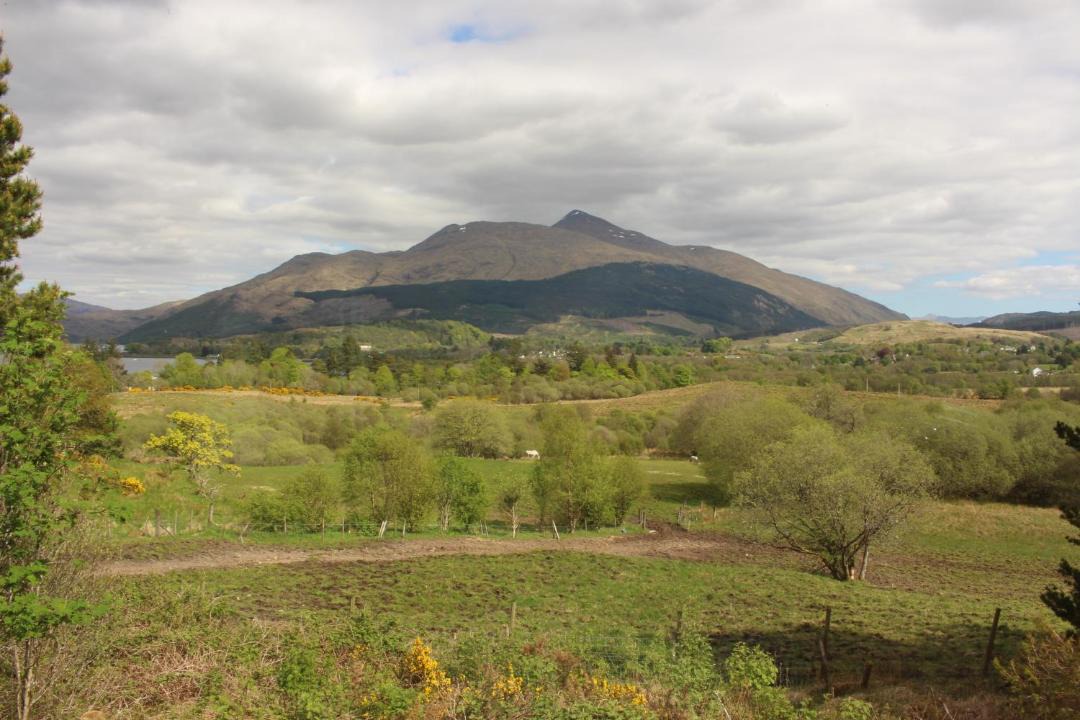 Photo of Outdoor in Taynuilt