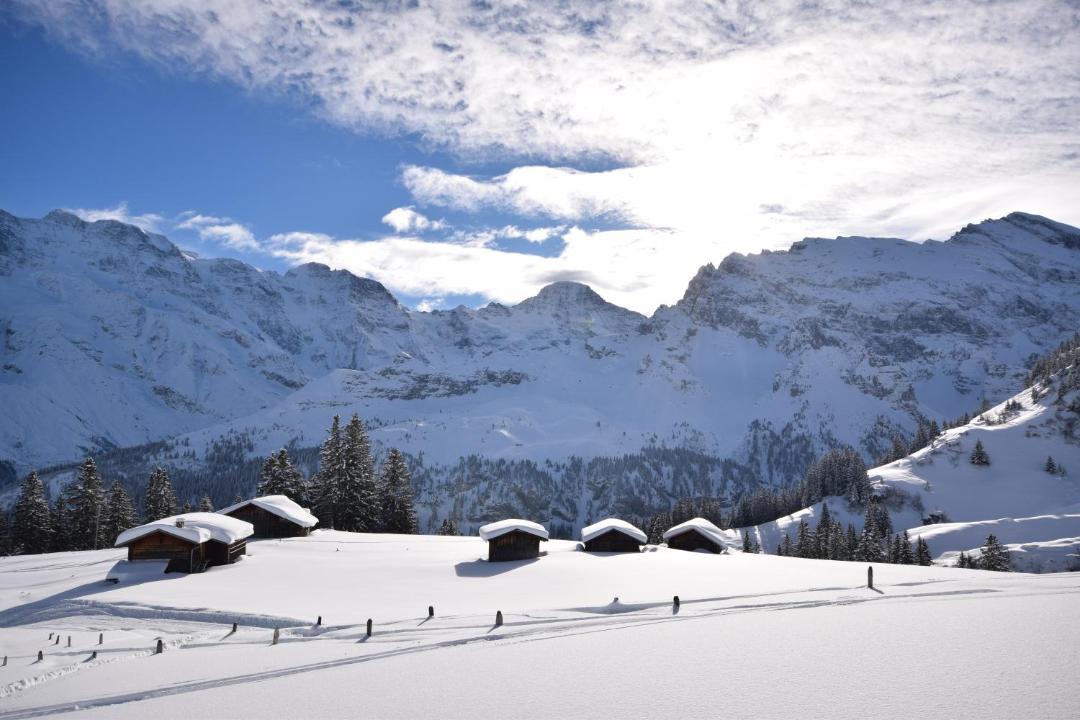 Photo of Others in Murren