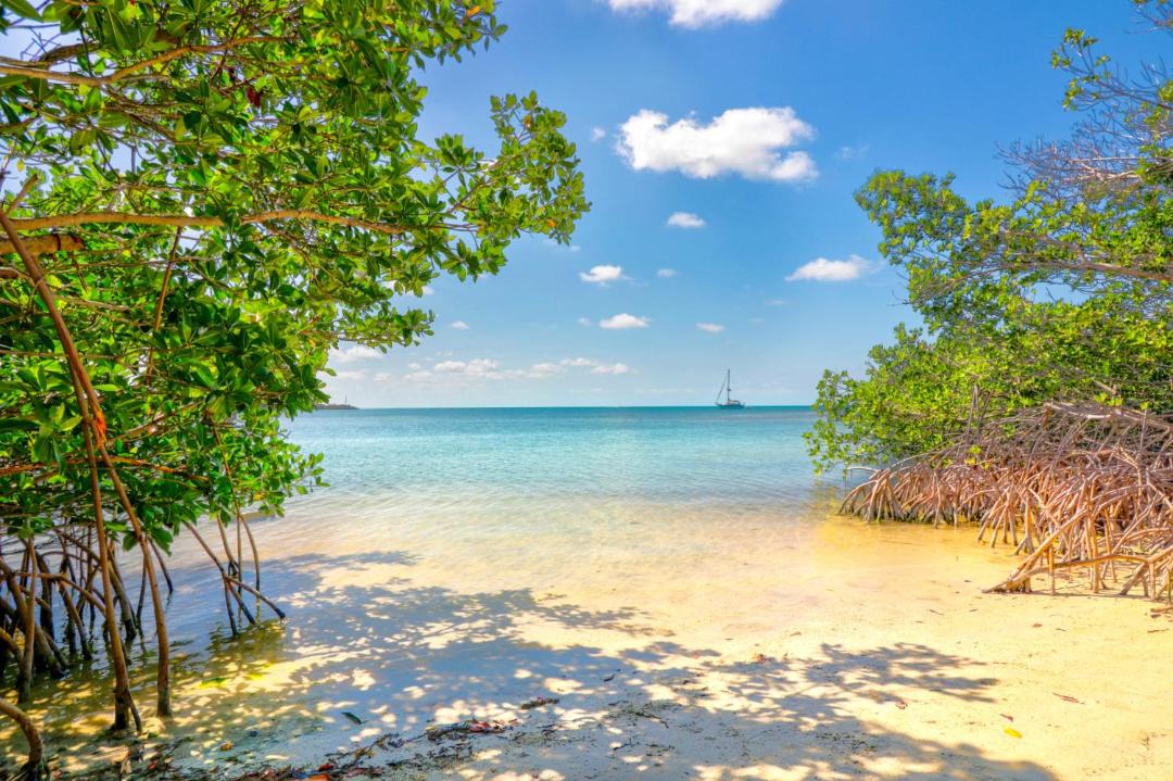 Photo of Outdoor in Long Key