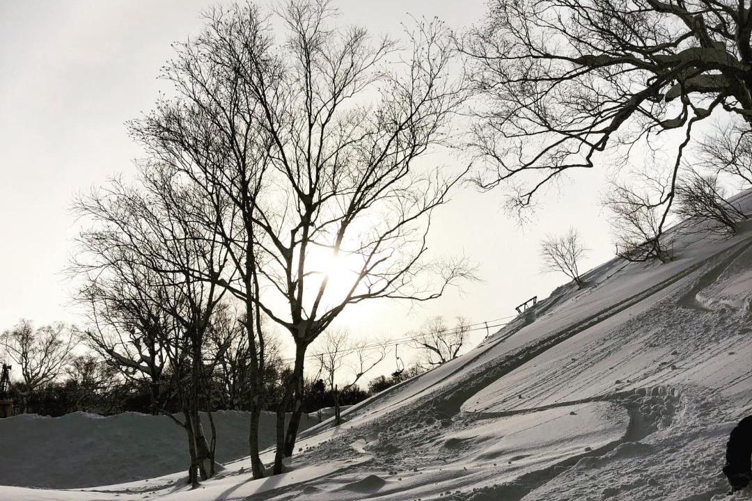 Photo of Others in Niseko