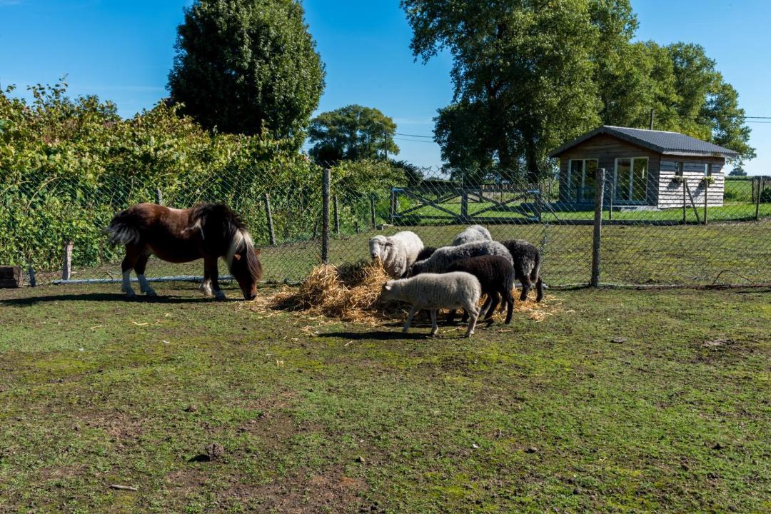 Photo of Others in Torhout