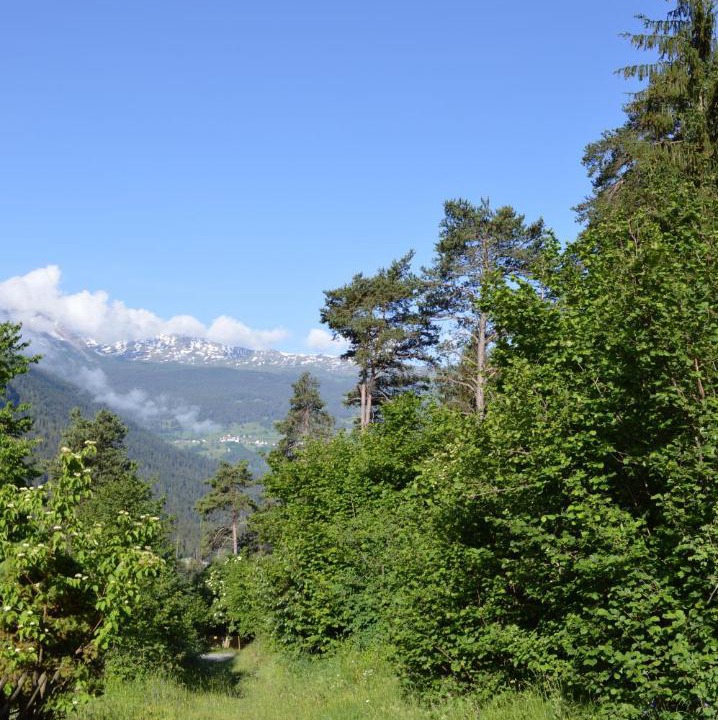 Photo of Outdoor in Surava