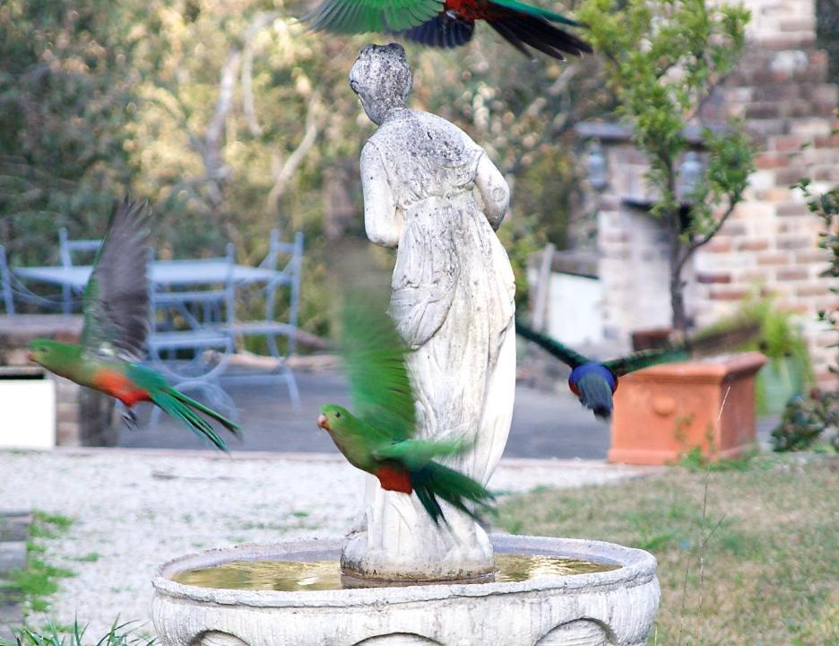 Photo of Others in Kurrajong